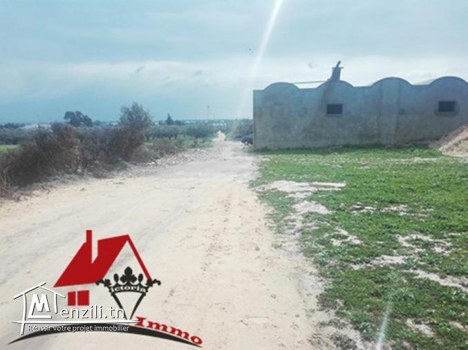 قطعة أرض الواقعة على الطريق الرئيسية قليبية / الهوارية