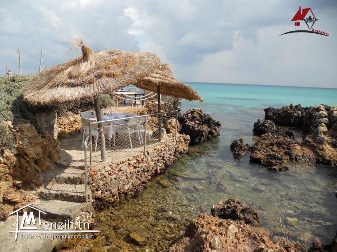 أرض للبيع في قليبية سيدي منصور