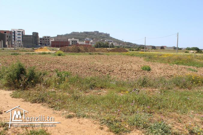 مقاسم في المنصورة 2 «قليبية»