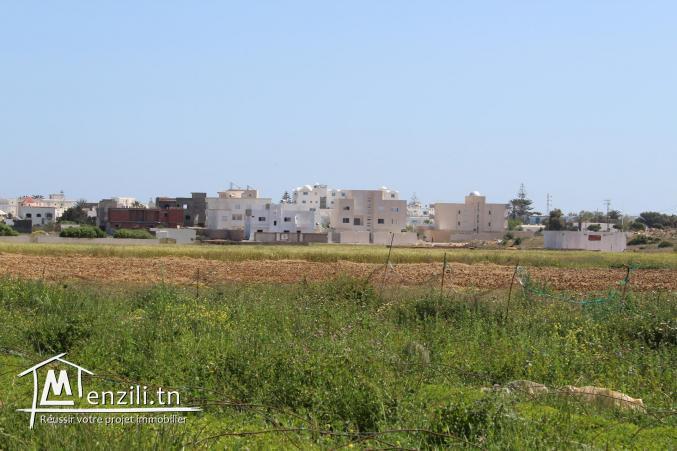 مقاسم في المنصورة 2 «قليبية»