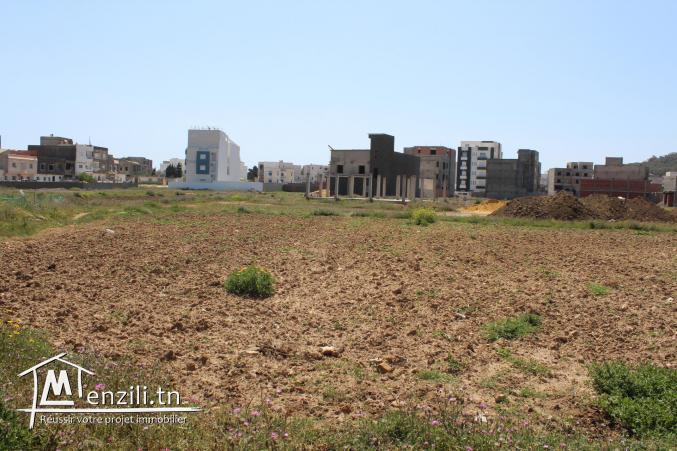 مقاسم في المنصورة 2 «قليبية»