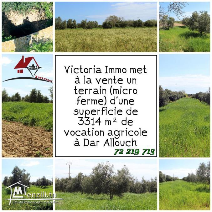 une micro ferme à Kélibia