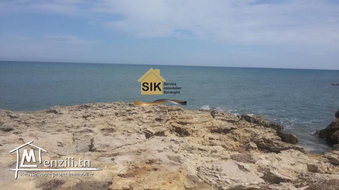 location d'été d'une maison de compagne à Kerkouene (REF 29)