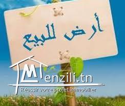 قطعة ارض صالحة للبناء