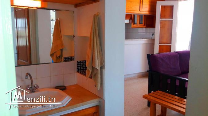 Coquet  s+3  meublé vue de mer  Kélibia