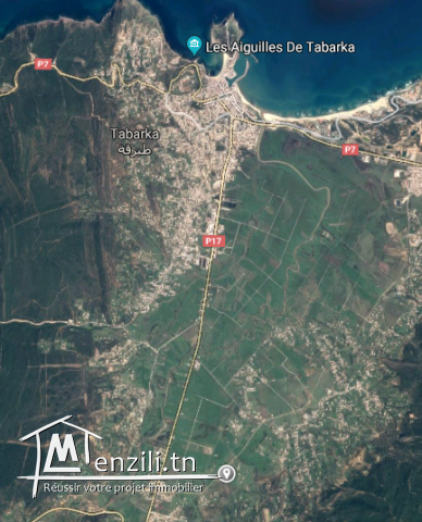 أرض للبيع بطبرقة