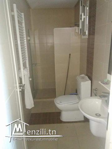 location estival pour la saison Estival un Appartement en s+1