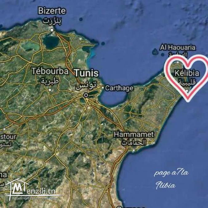 Location pour vacances 28797556