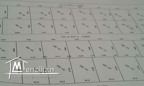 Titre bleu 3ala chat kelibia dar allouche