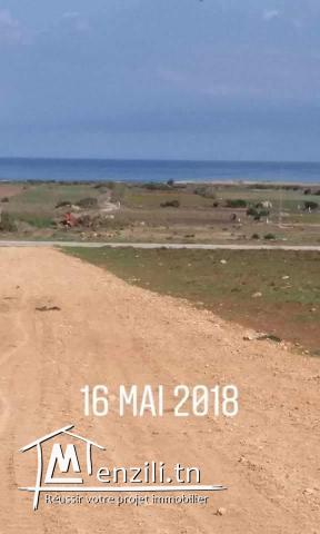 Titre bleu 3ala chat kelibia dar allouche