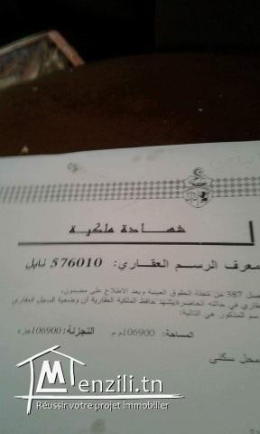 Titre bleu 3ala chat kelibia dar allouche