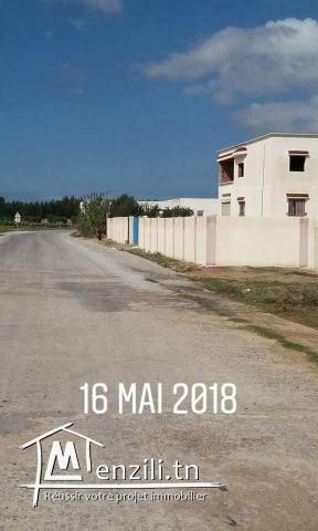 Titre bleu 3ala chat kelibia dar allouche