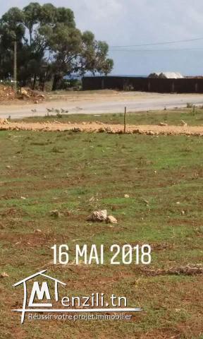 Titre bleu 3ala chat kelibia dar allouche