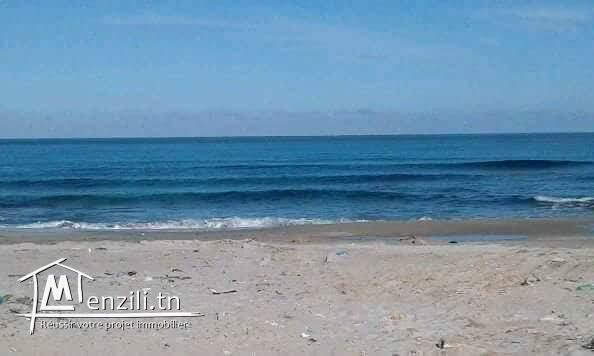 Titre bleu 3ala chat kelibia dar allouche