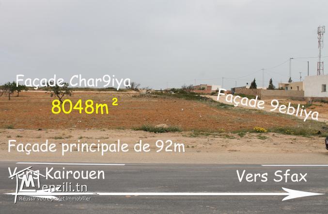 Vente à Sfax pour les résidents à l'étranger.