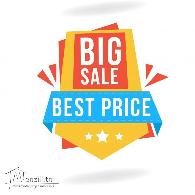 Vente de Terrain Constructible (OPPORTUNITÉ EN OR)