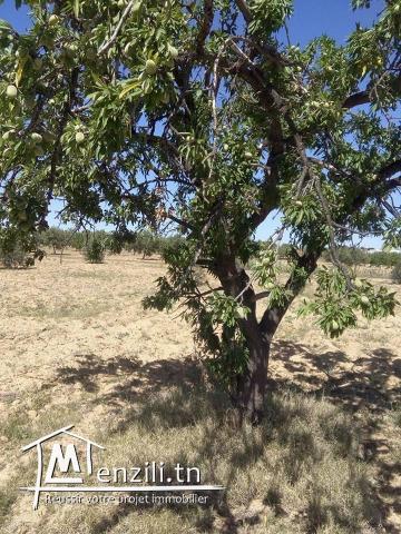 terraain dans une zone commerciale