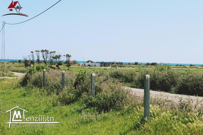 un lot de coin de 350m² à kélibia