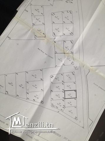 a vendre lot des terrain a batir a jinene mansoura