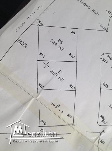 a vendre lot des terrain a batir a jinene mansoura