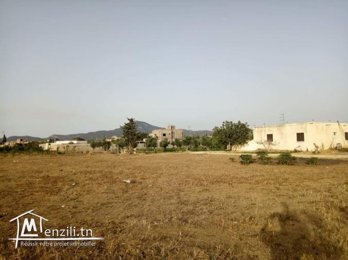 أرض للبيع 1064م² بزاوية مرناق