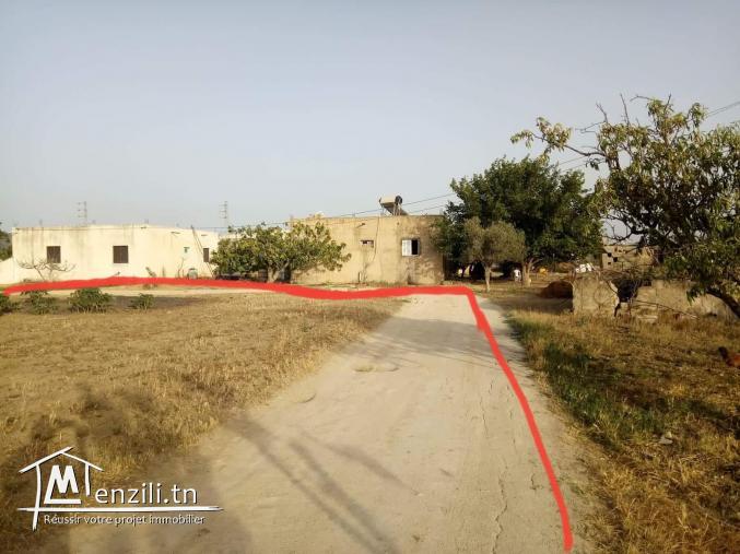 أرض للبيع 1064م² بزاوية مرناق