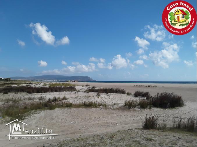 deux lots clôturés à Dar Allouch