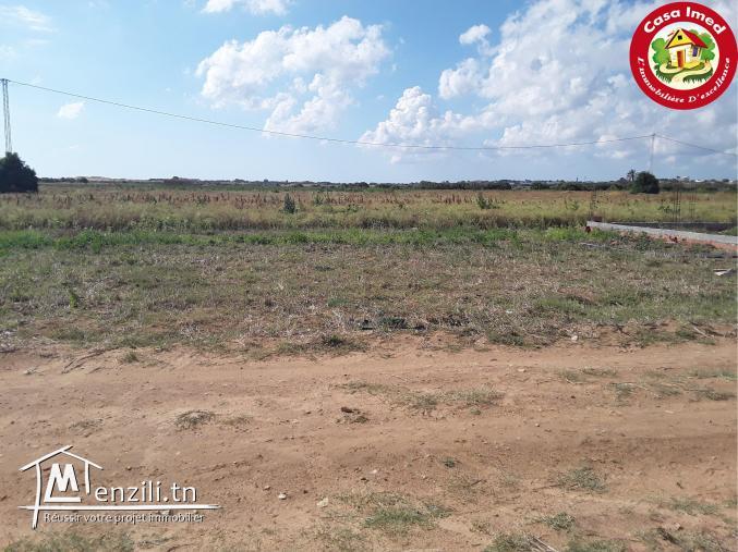 deux lots clôturés à Dar Allouch