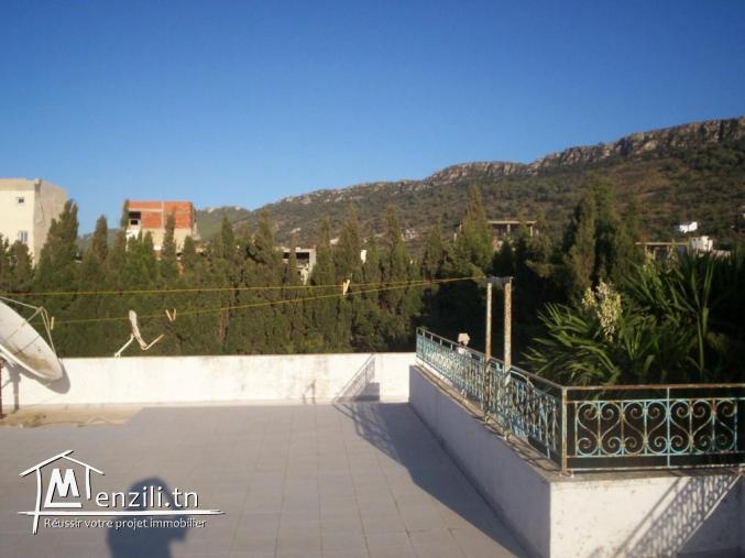 villa 805 m2 rafraf plage