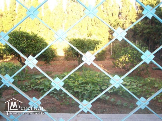 villa 805 m2 rafraf plage