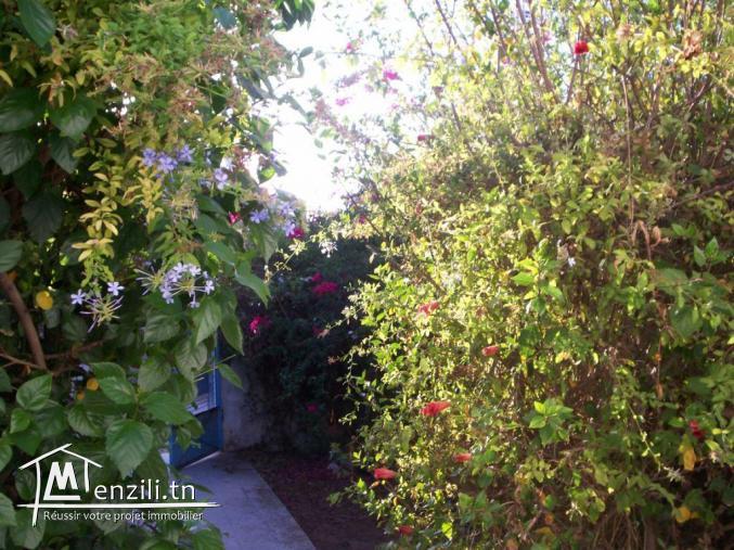 villa 805 m2 rafraf plage