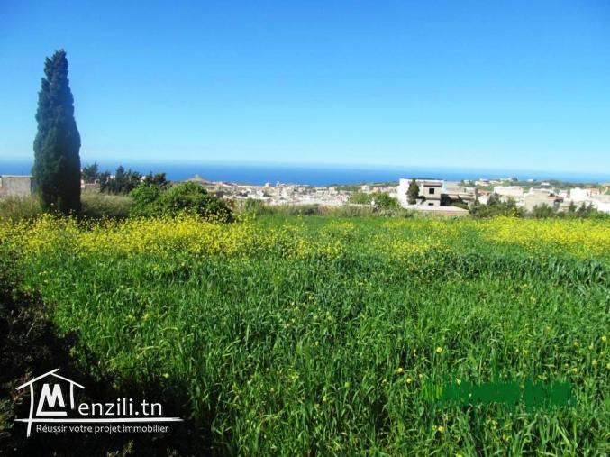 terrain 250 m2 rafraf centre