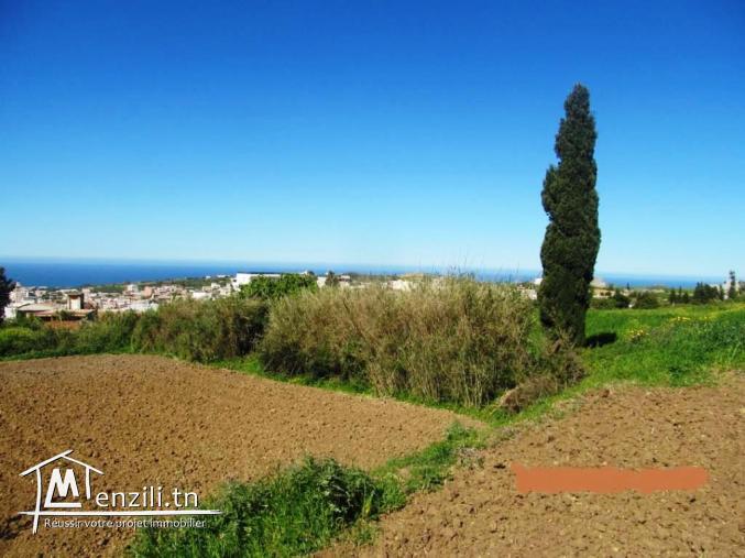 terrain 250 m2 rafraf centre