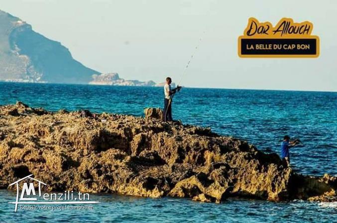 terrain dar allouch pied dans l'eau