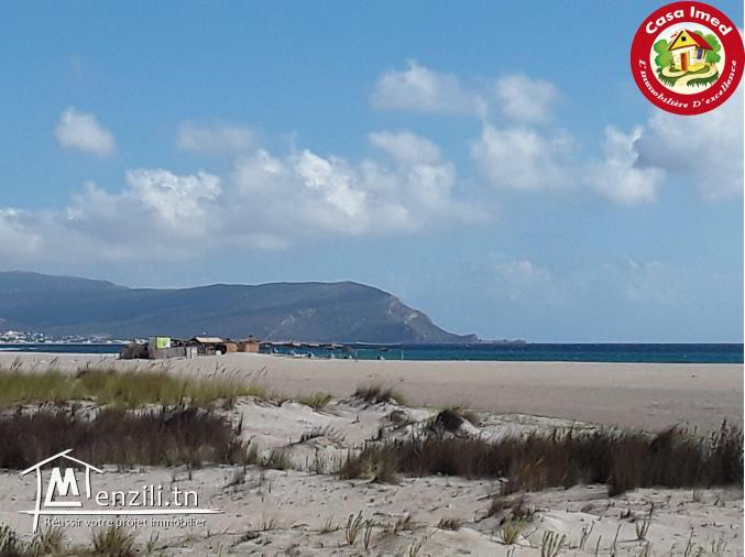 deux lots clôturés à Dar Allouch