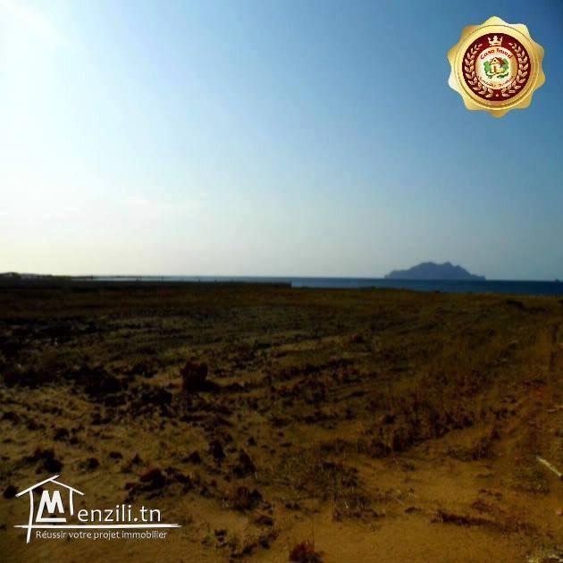 قطعة أرض في الهوارية