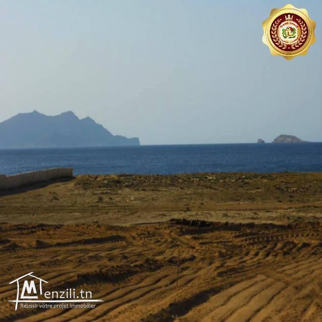 قطعة أرض في الهوارية