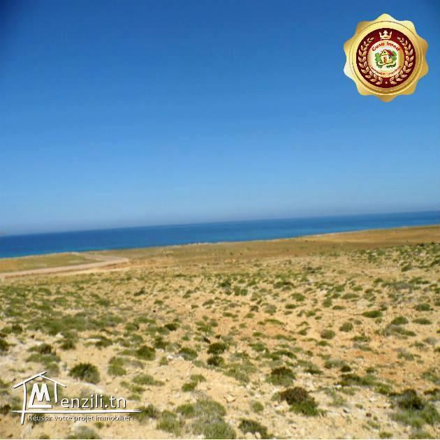 قطعة أرض في الهوارية