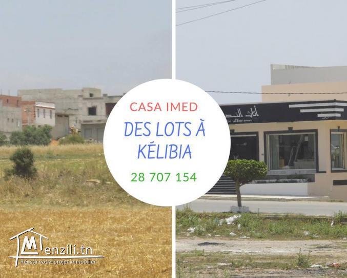 تقسيم جديد في قليبية