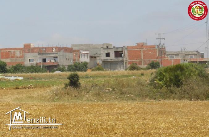 تقسيم جديد في قليبية