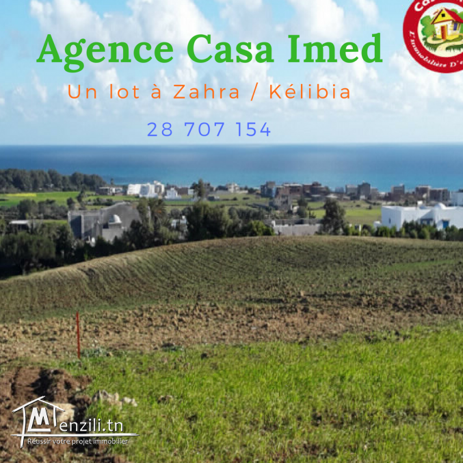 Un lot à Zahra / Kélibia