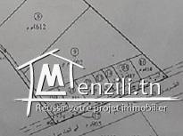 a vendre des terrain de 500 a 5000m²