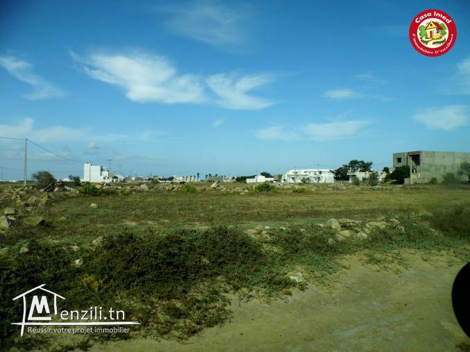 تقاسيم في عين قرينز / قليبية