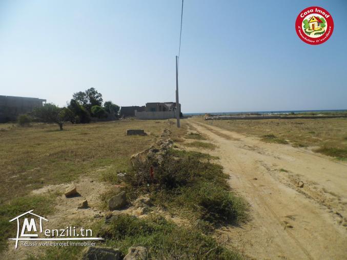 تقاسيم في عين قرينز / قليبية