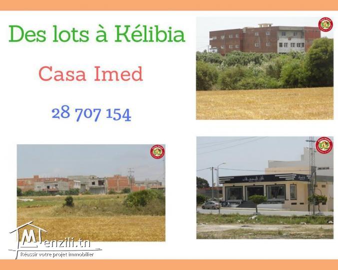 تقسيم جديد في قليبية