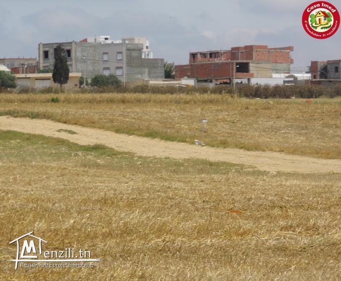 تقسيم جديد في قليبية