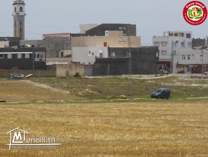 تقسيم جديد في قليبية