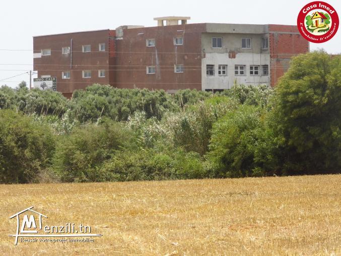 تقسيم جديد في قليبية