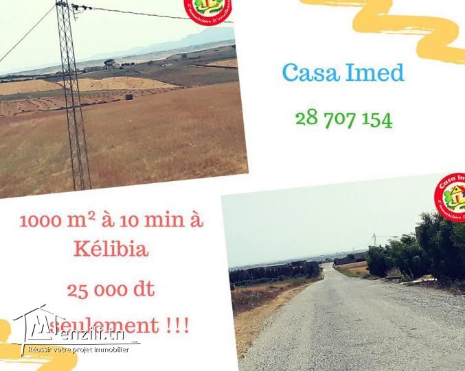 1000 m² à 10 min à Kélibia