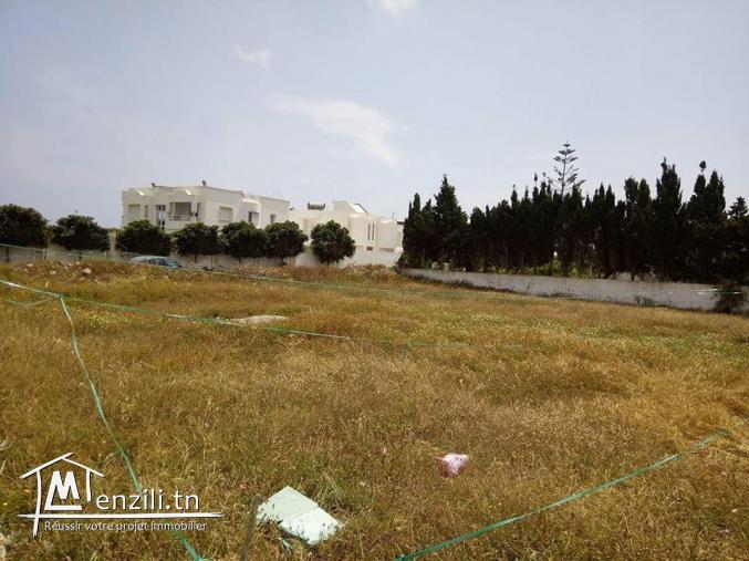 terrain a vendre a kelibia prés la zone touristique et en face de l'hotel kelibia la blanche